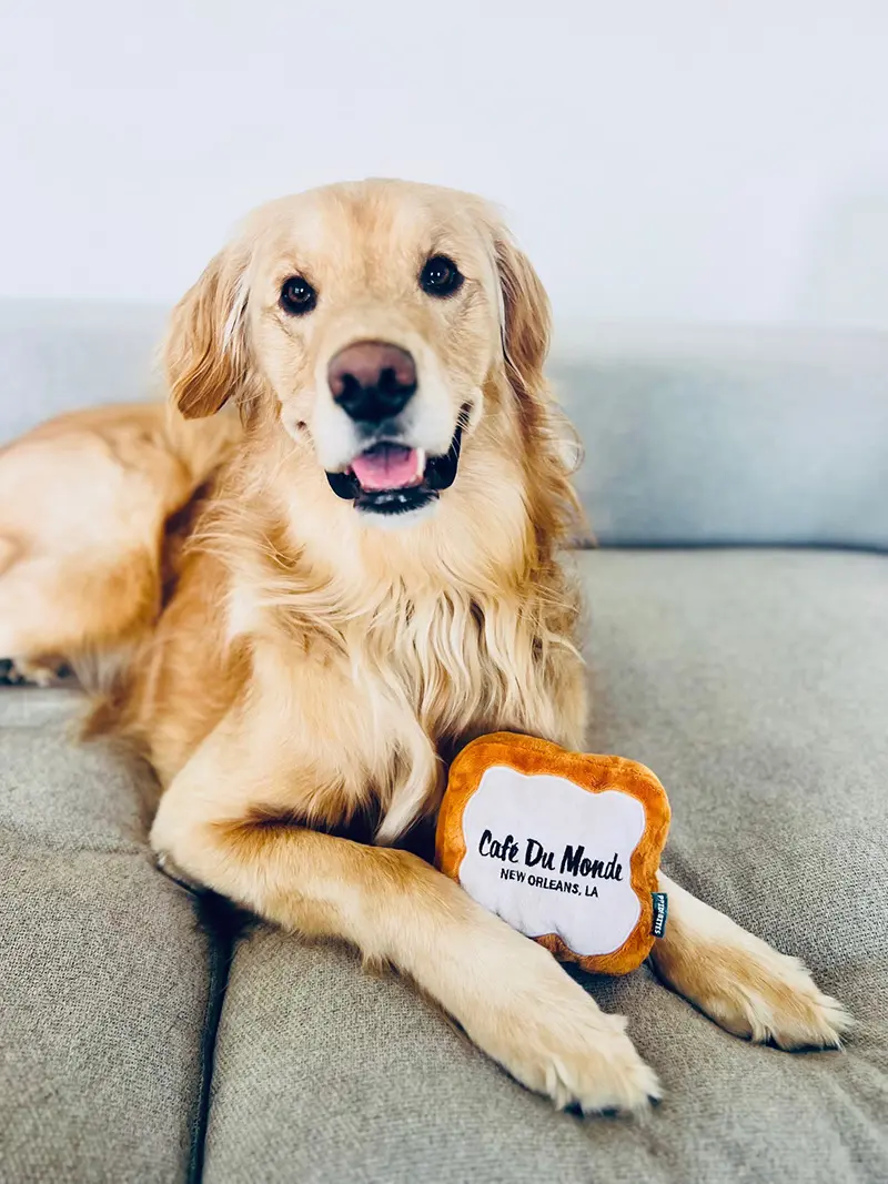 Beignet Pet Toy